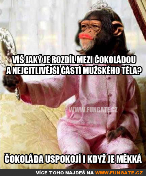  Čokoláda 