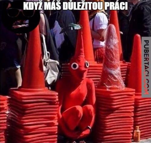  Důležitá práce 