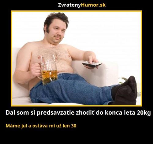  Předsevzetí 