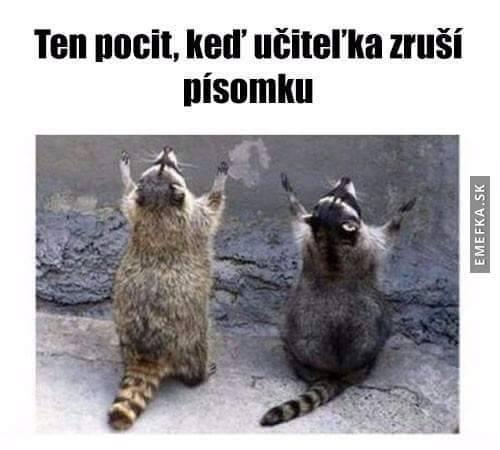 Když zruší písemku