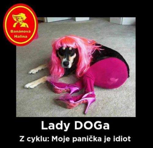  Lady Doga 