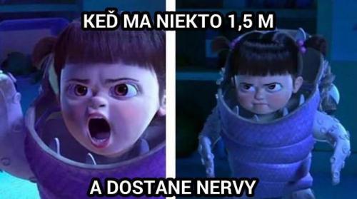 Nerviky