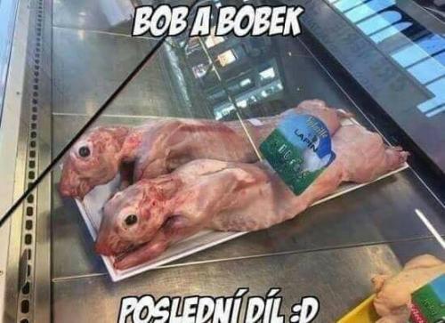  Bob 