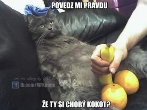Chorý