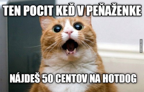  Peněženka 