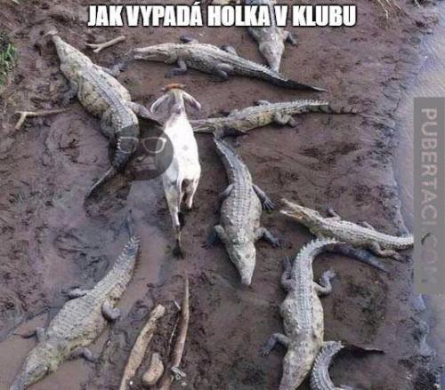  Holka v klubu 