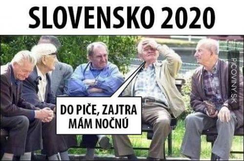  Slovensko i Česko 2020 