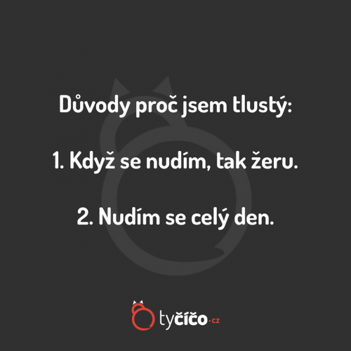  Proč jsem tlustý 