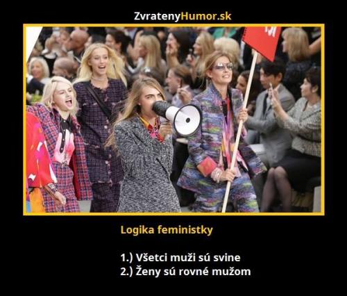  Logika feministek 