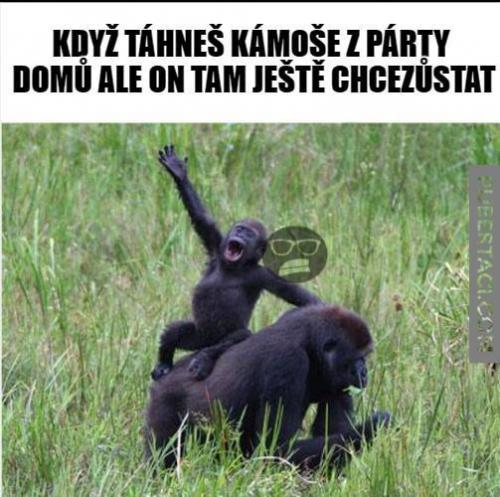  S kámošem cestou z party 