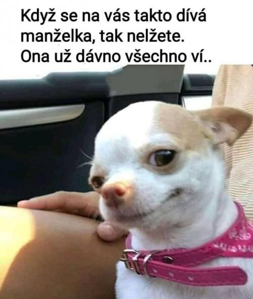  Manželka 