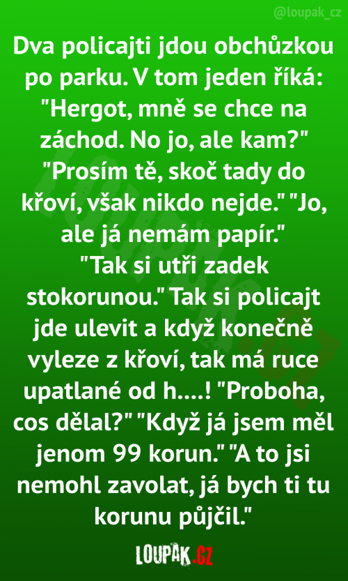  Dva policajti jdou obchůzkou po parku 