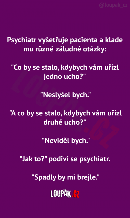 Psychiatr vyšetruje pacienta