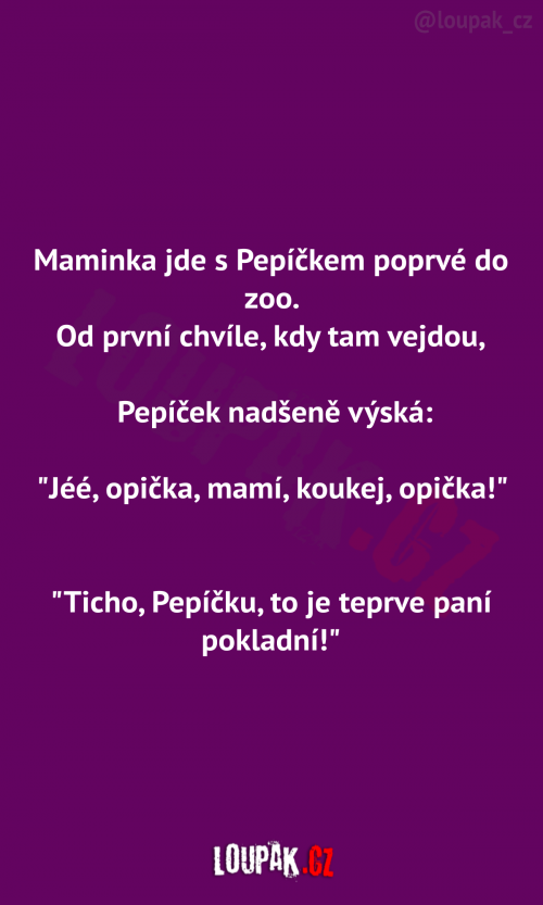  Maminka s Pepíčkem 