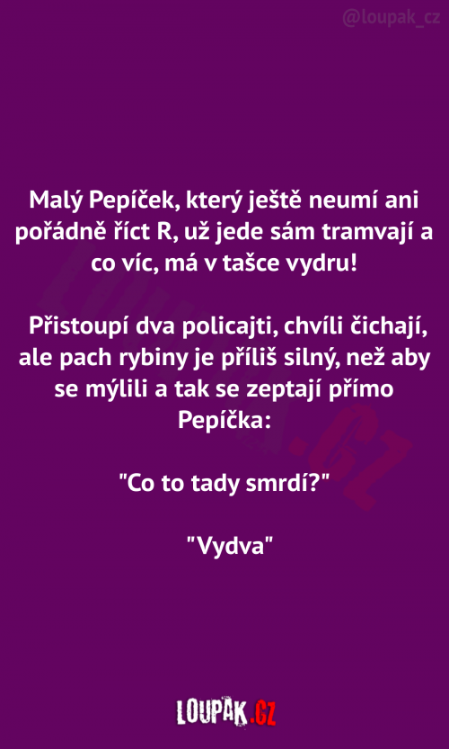 Pepíček a policie