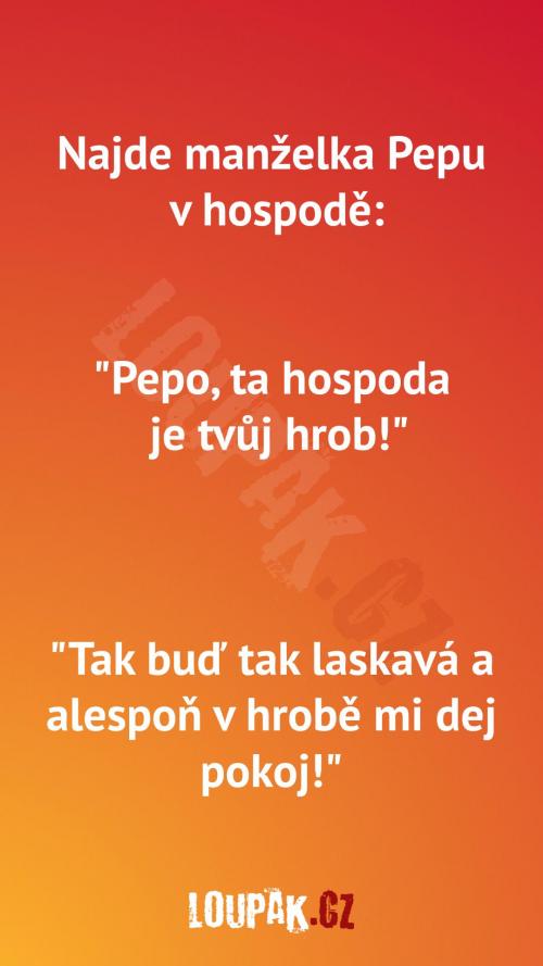  Manželka najde manžela v hospodě. 