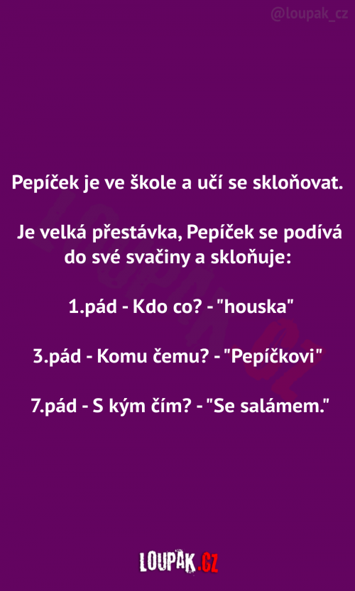 Pepíček a skloňování