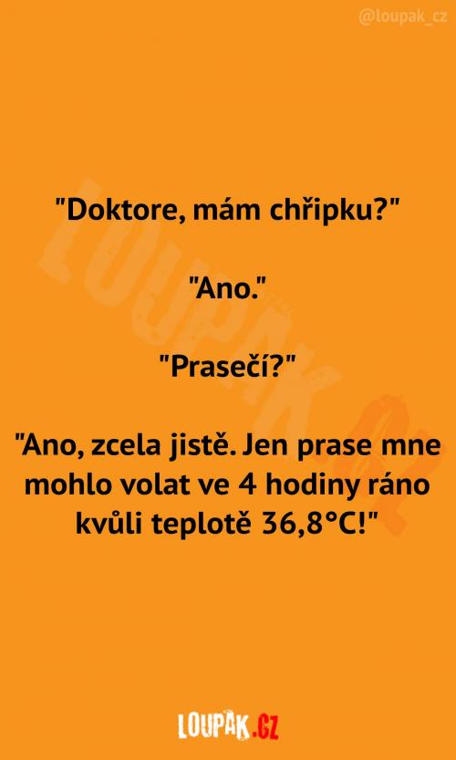 Odůvodnění prasečí chřipky