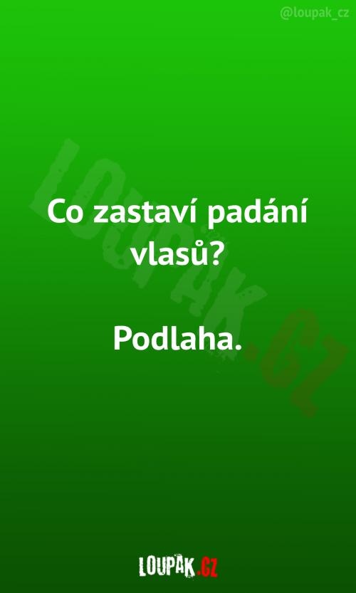  Co zaručeně zastaví padání vlasů? 