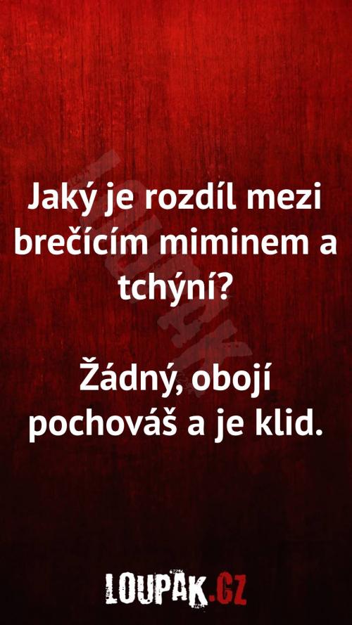  Rozdíl mezi brečícím miminem a tchýní 