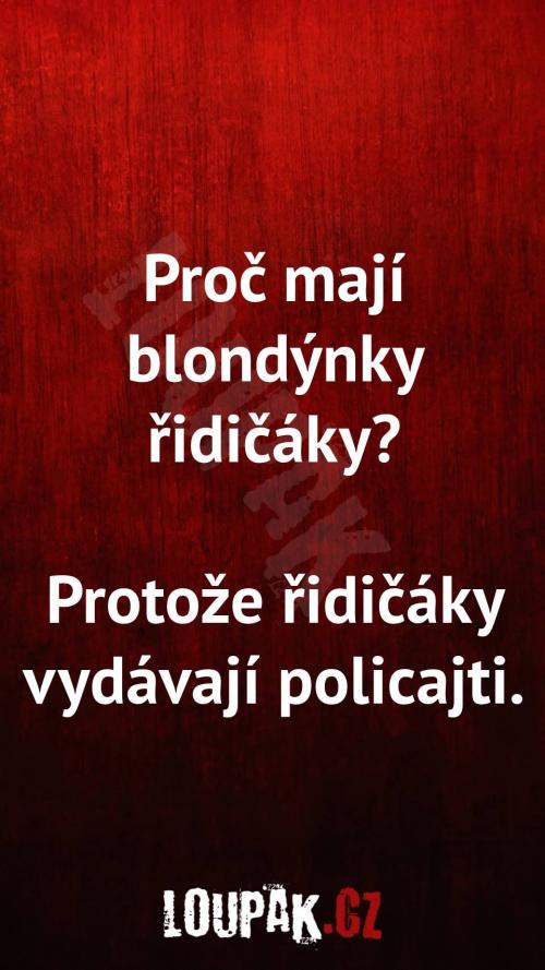  Proč blondýnky řidičáky 