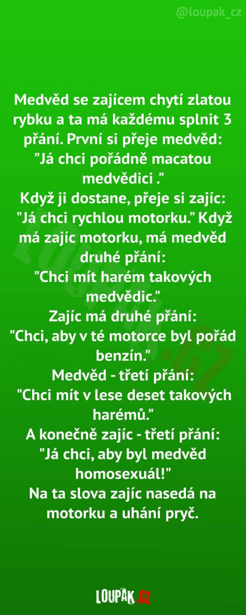  Medvěd a zajíc - tři přání 