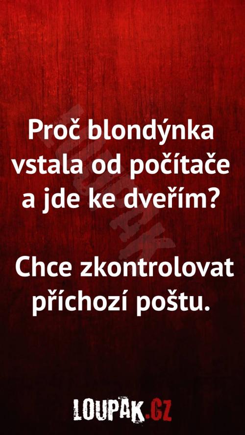  Proč blondýnka vstala od počítače  a jde ke dveřím 