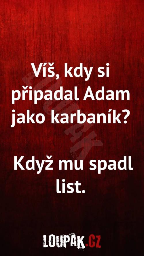  Víš, kdy si připadal Adam jako karbaník 