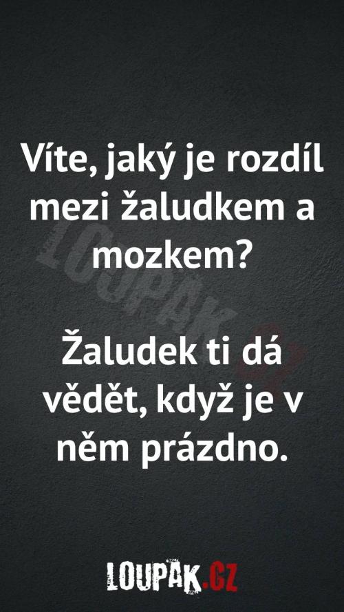  Rozdíl mezi žaludem a mozkem 