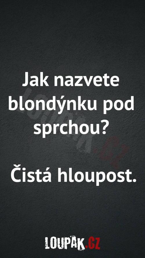  Jak nazvete blondýnku pod sprchouw 