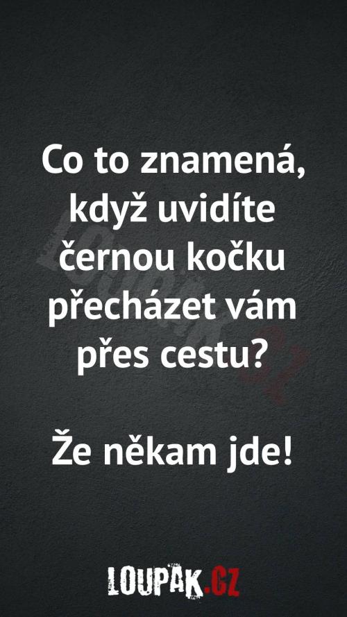  Co to znamená, když uvidíte černou kočku přecházet přes cestu 