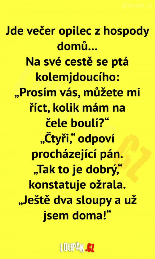  Opilec se vrací domů z hospody 