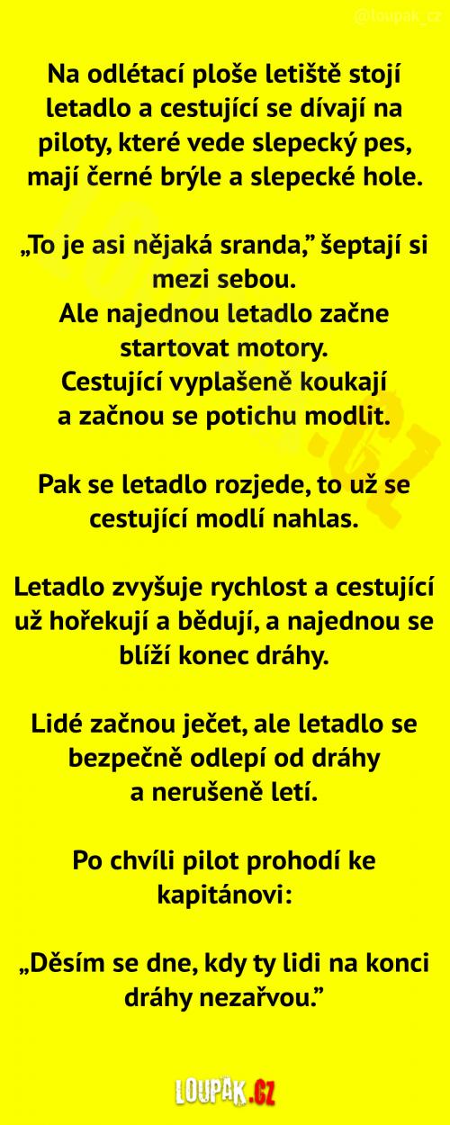 Cestující v letadle nevěřili vlastním očím