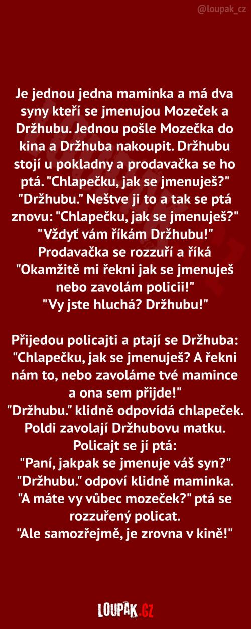 Synové Mozeček a Držhubu