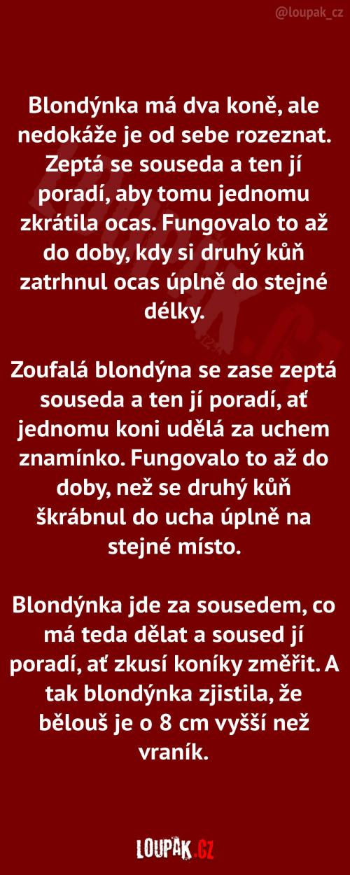 Blondýnka neokáže rozeznat své koně