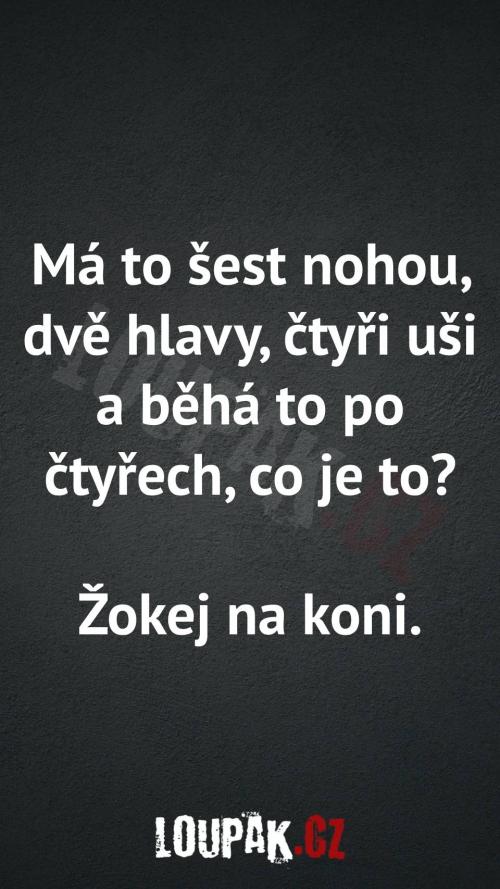  Má to šest nohou, dvě hlavy, čtyři uši a běhá to po čtyřech, co je to? 