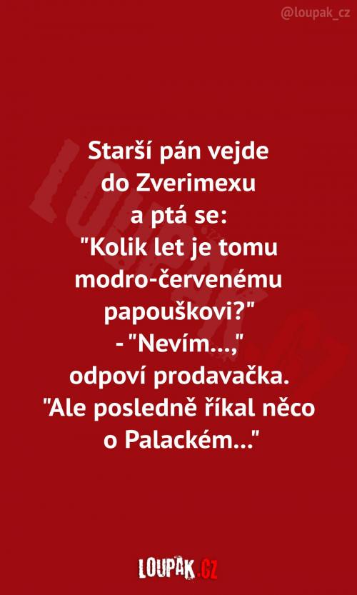 Pán si ve zverimexu kupuje papouška