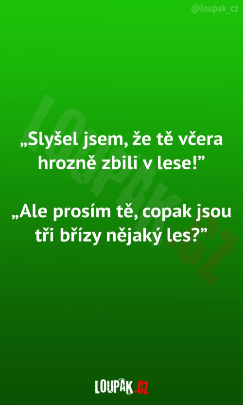  Prý ho zbili v lese... 