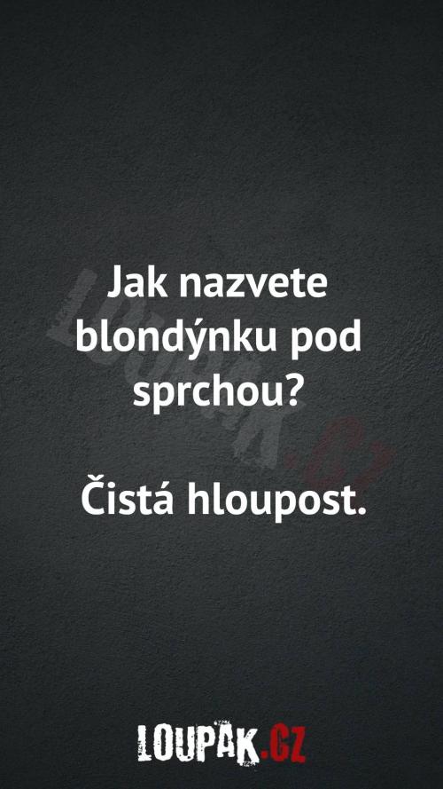  Jak nazvete blondýnku pod sprchou 