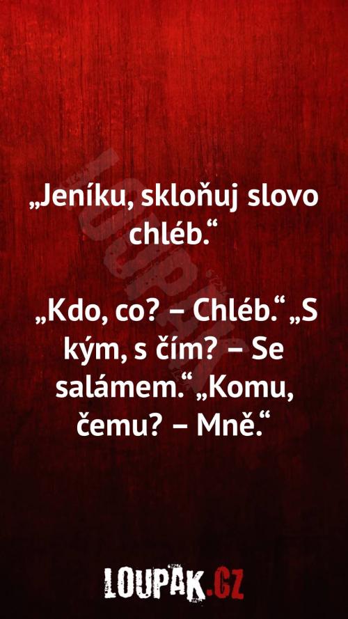 Zvládne tohle vyskloňovat