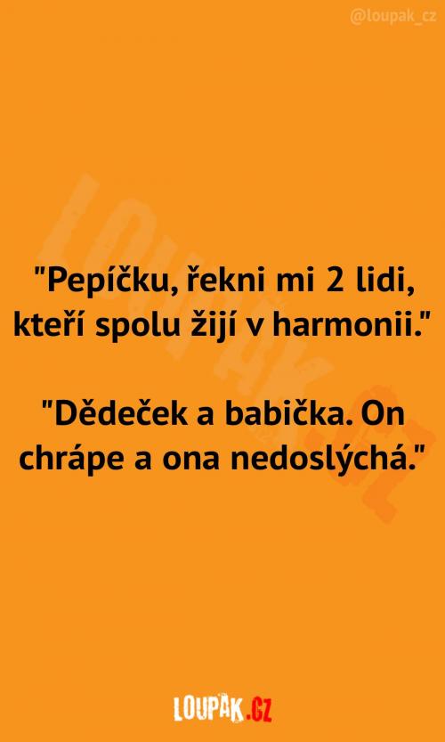 Harmonické soužití dědy a babičky