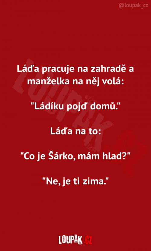 Manželka vždycky ví 