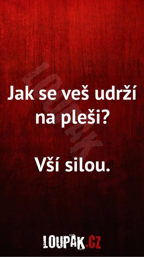  Jak se veš udrží na pleši 