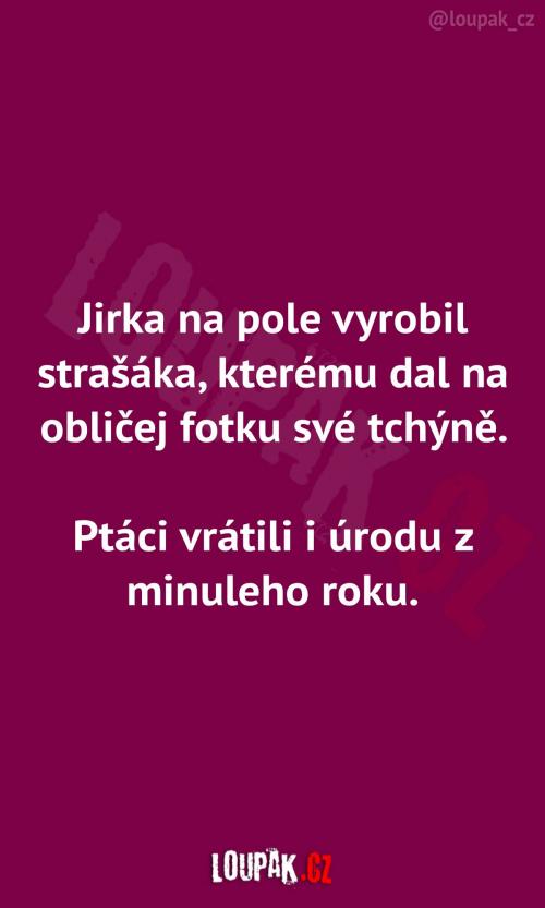  Pavlova vychytávka na pole 