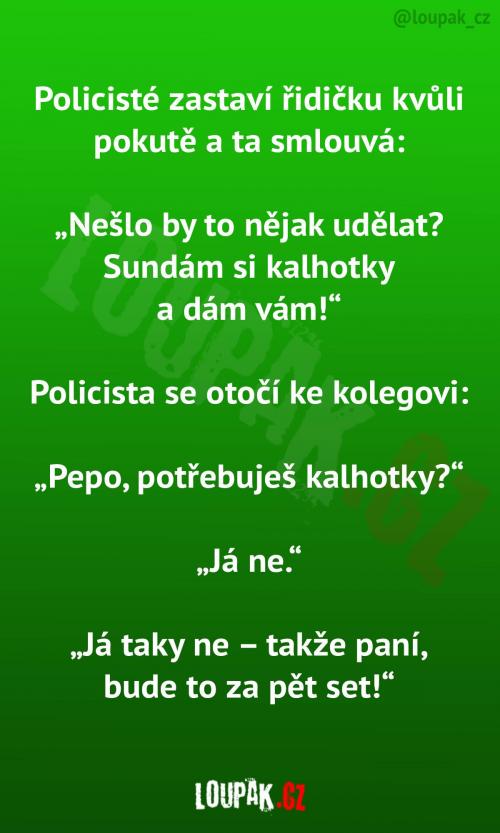 Řidičku nejspíš čeká tučná pokuta