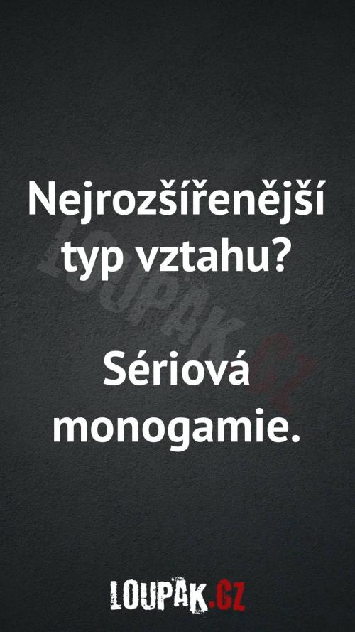 Nejrozšířenější typ vztahu  Nejrozšířenější typ vztahu