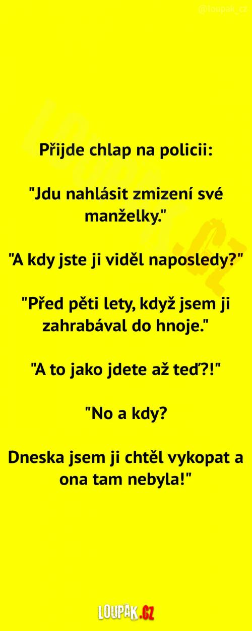 Zmizení manželky    