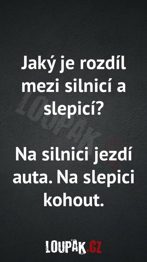 Rozdíl mezi silnicí a slepicí