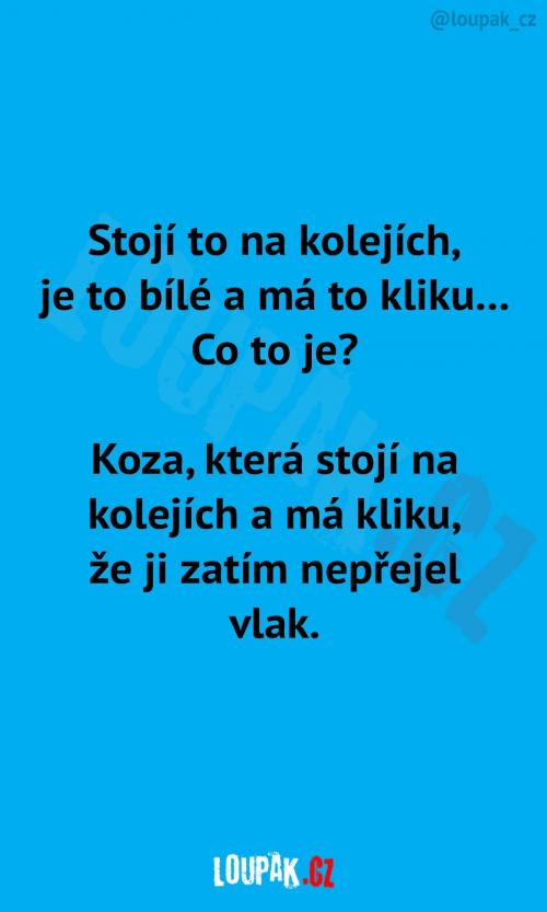 Hádanka (vyšší dívčí)