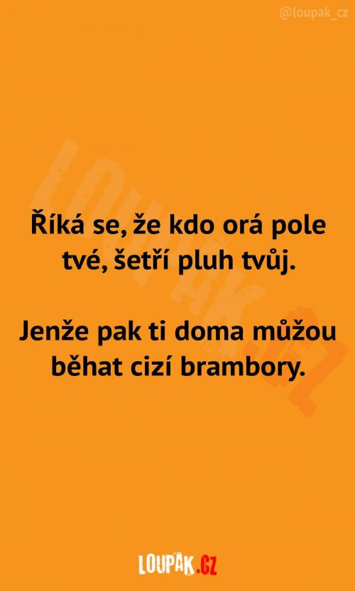  Přísloví s menším zádrhelem 